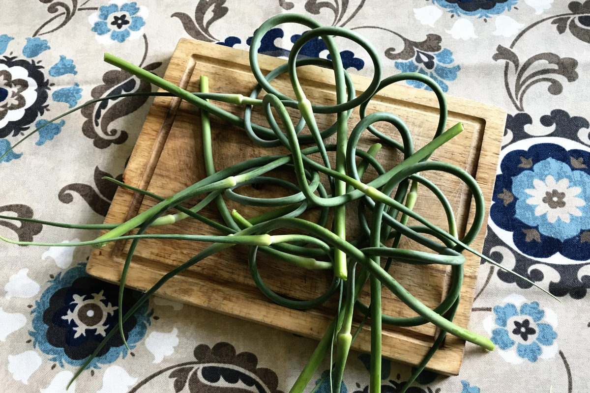 garlic scapes on wooden cutting board 