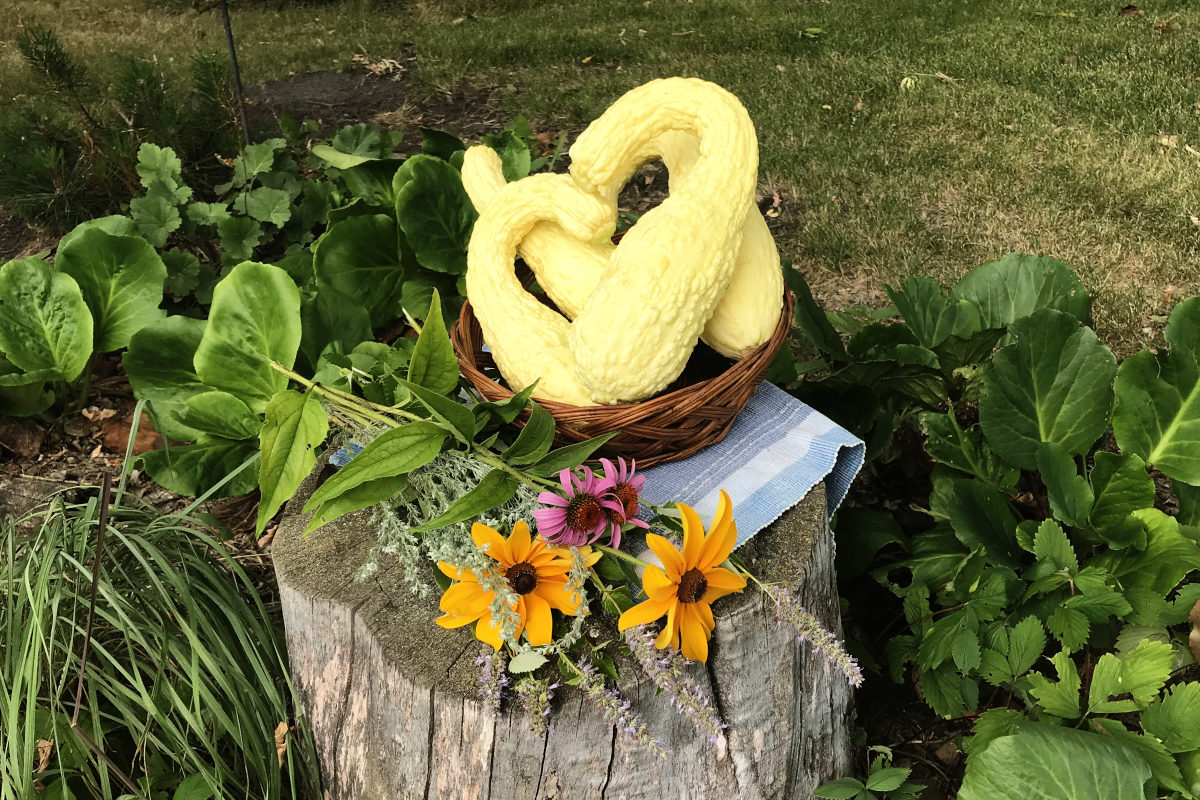 Rugosa Friulana summer squash in a basket on a place mat on a stump with a wildflower bouquet.