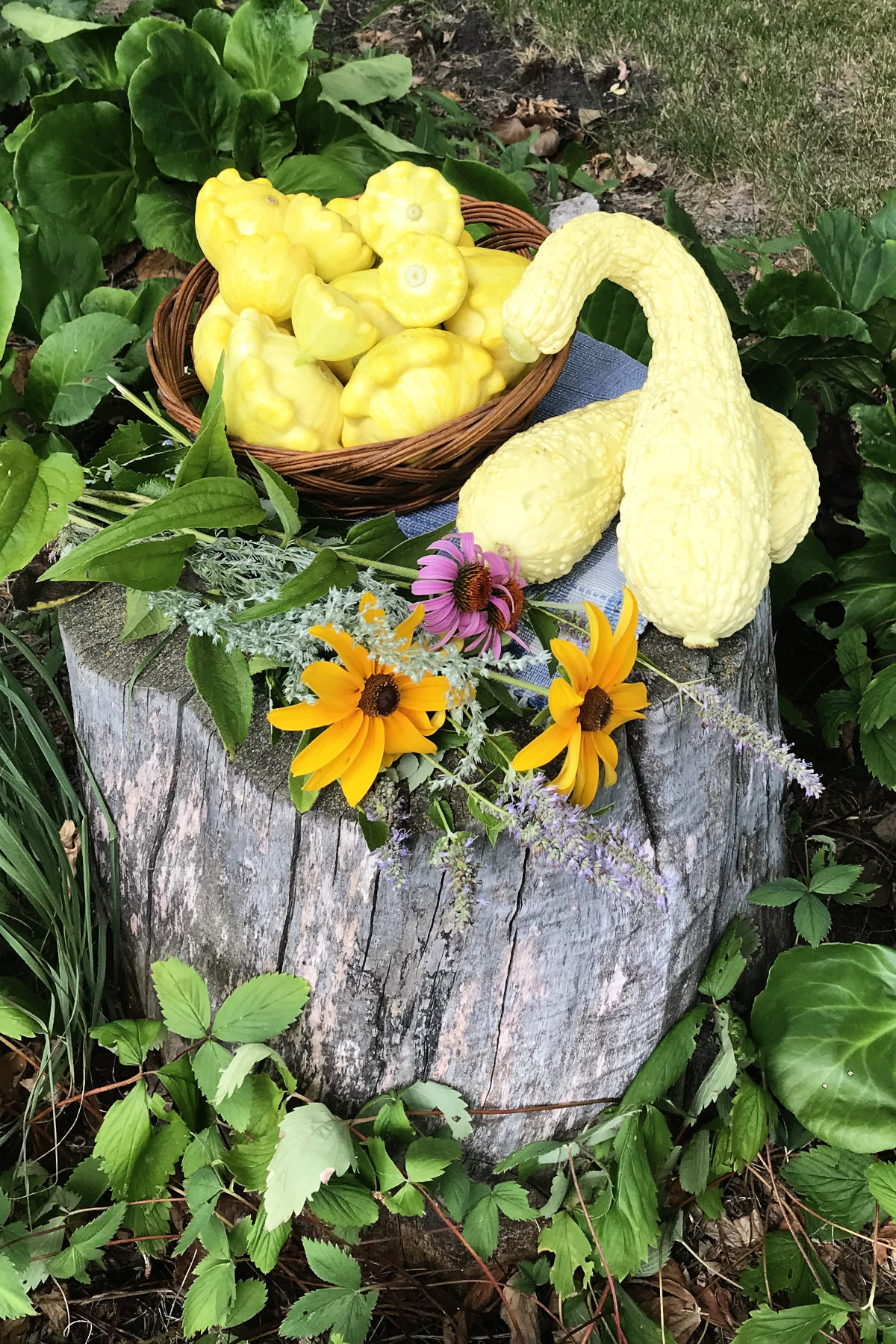 Basket of summer squash on a place mat, on a stump, with a bouquet of wildflowers.