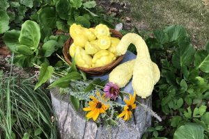 Summer squash in a basket on a place mat on a stump with a wildflower bouquet