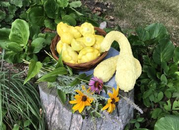 Summer squash in a basket on a place mat on a stump with a wildflower bouquet