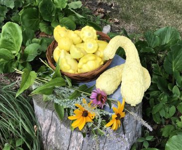 Summer squash in a basket on a place mat on a stump with a wildflower bouquet