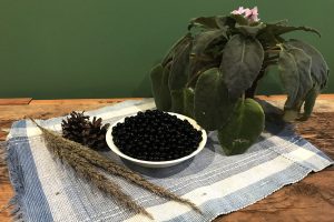 wonderberries in a small bowl on a place mat with a plant on weathered wood