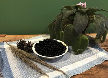 wonderberries in a small bowl on a place mat with a plant on weathered wood