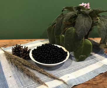wonderberries in a small bowl on a place mat with a plant on weathered wood