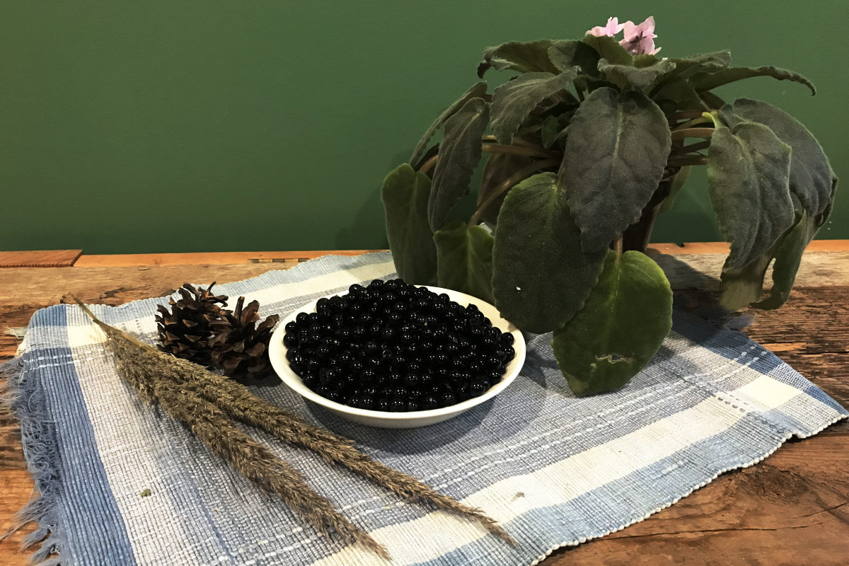 wonderberries in a small bowl on a place mat with a plant on weathered wood