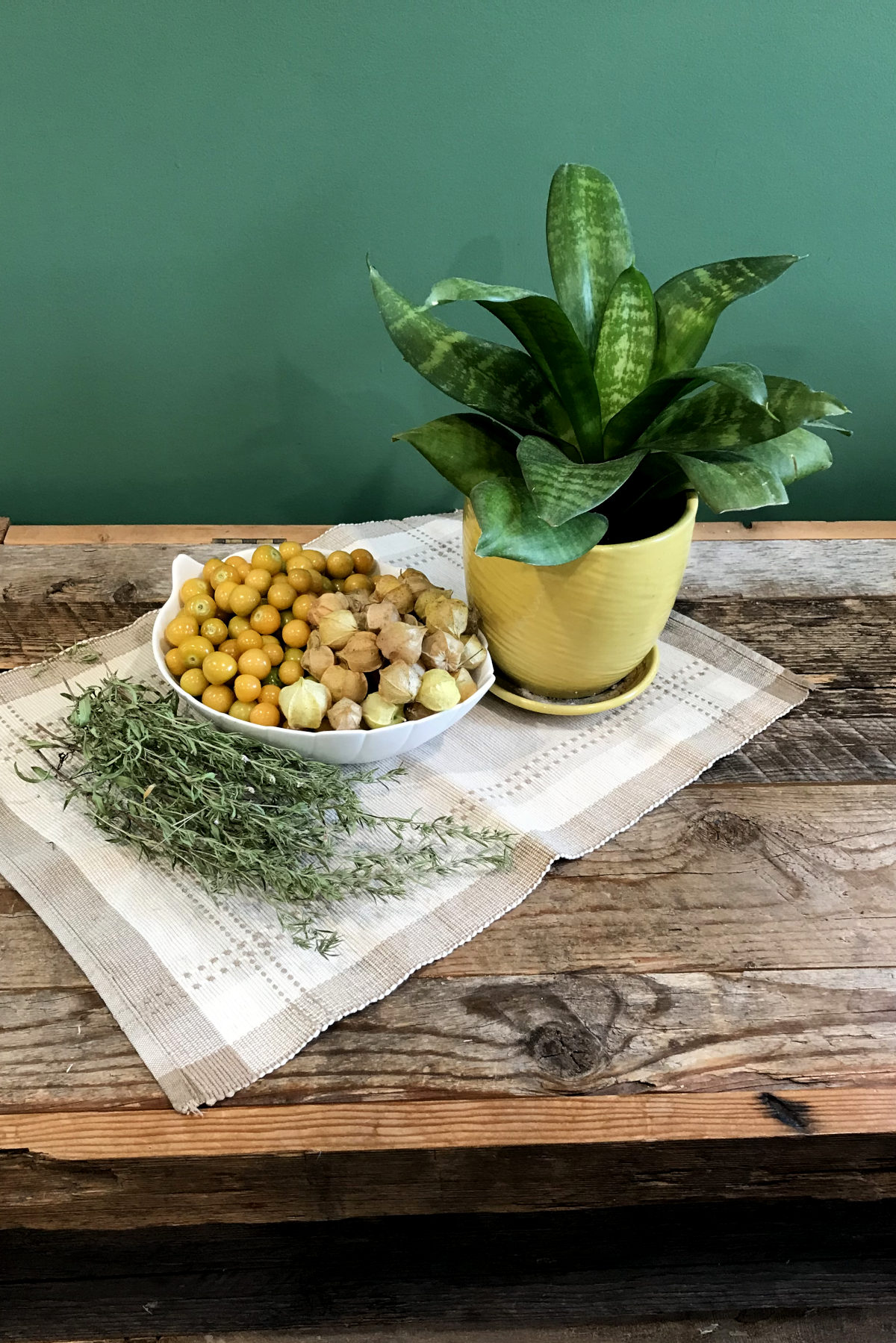 Ground cherries and grond cherries in husks in a bowl on a place mat on weathered wood with a plant