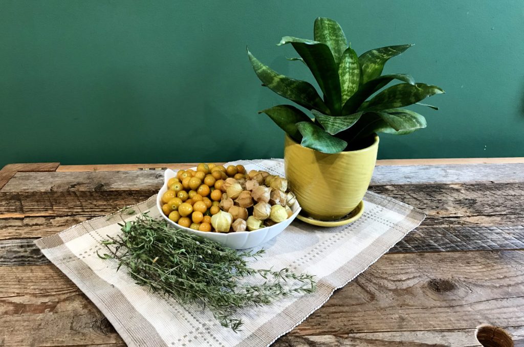 Ground cherries and grond cherries in husks in a bowl on a place mat on weathered wood with a plant