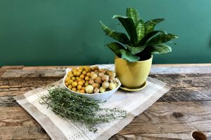 Ground cherries and grond cherries in husks in a bowl on a place mat on weathered wood with a plant