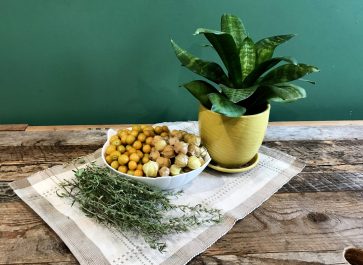 Ground cherries and grond cherries in husks in a bowl on a place mat on weathered wood with a plant
