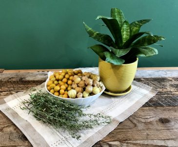 Ground cherries and grond cherries in husks in a bowl on a place mat on weathered wood with a plant